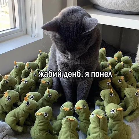 Жабий день, я понял