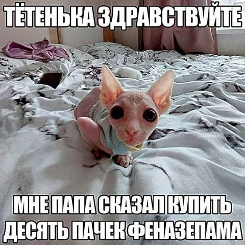 Тётенька, здравствуйте, купите феназепам