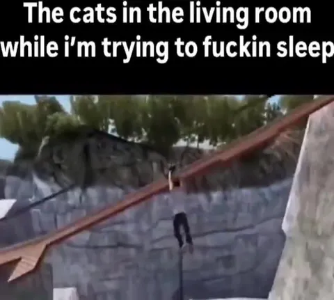 Cats Making Noise While I Sleep