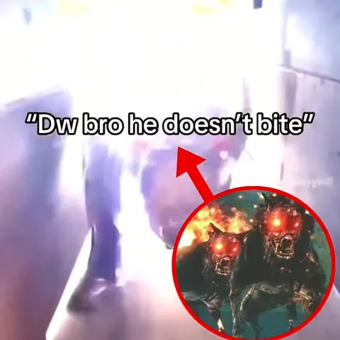 He Doesn't Bite