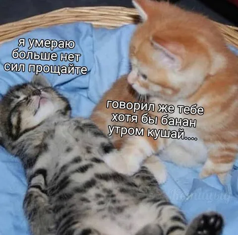 Хотя бы банан утром кушай
