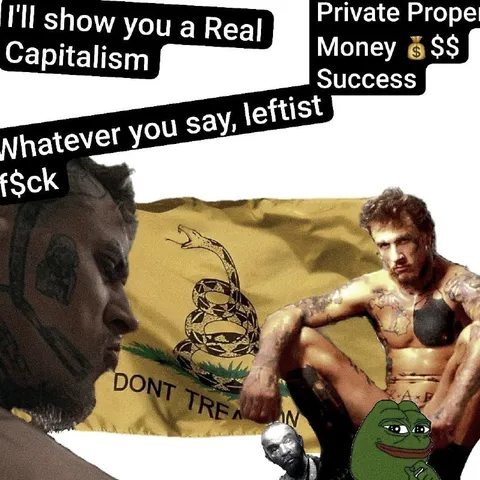 Real Capitalism According to Libertarians