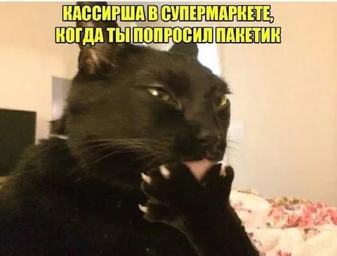 Кассирша и пакетик