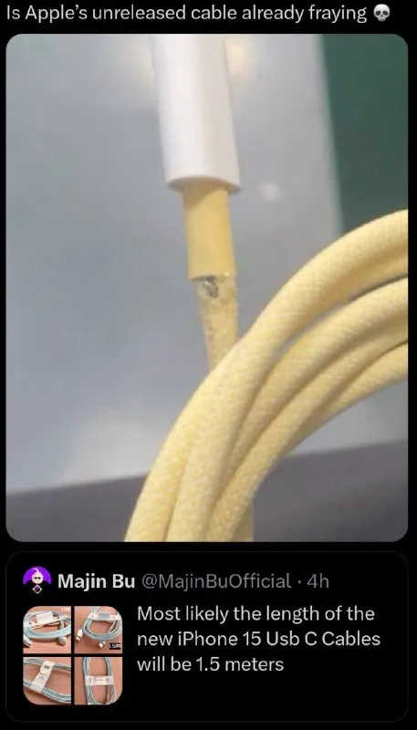 Apple USB-C Cable Already Fraying
