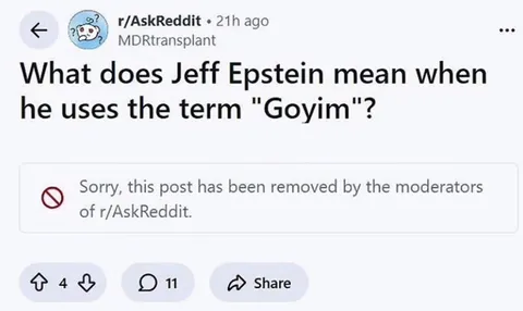 Jeff Epstein Goyim Post Removed