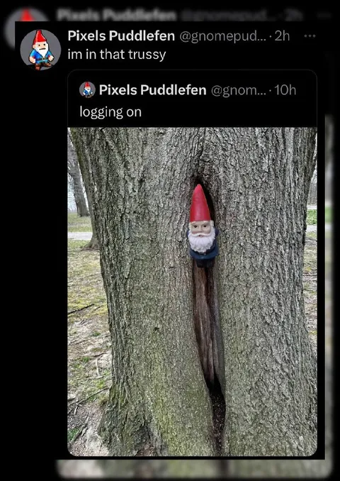 Gnome In the Trussy