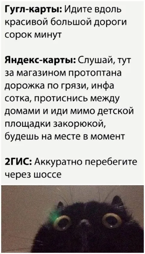 Навигаторы ведут разными дорогами