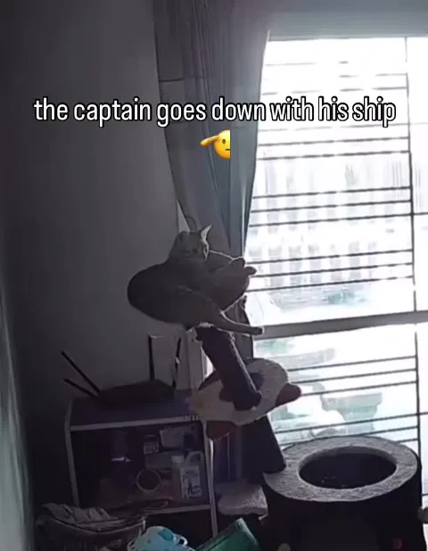 The Captain Goes Down With His Ship
