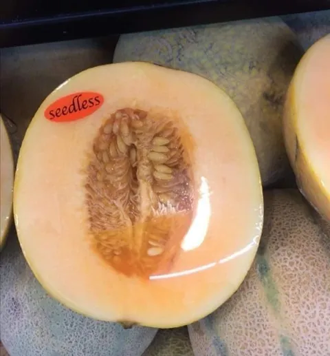 Seedless Melon Full of Seeds