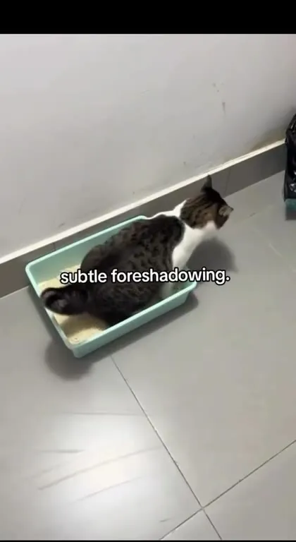 Subtle Foreshadowing Cat