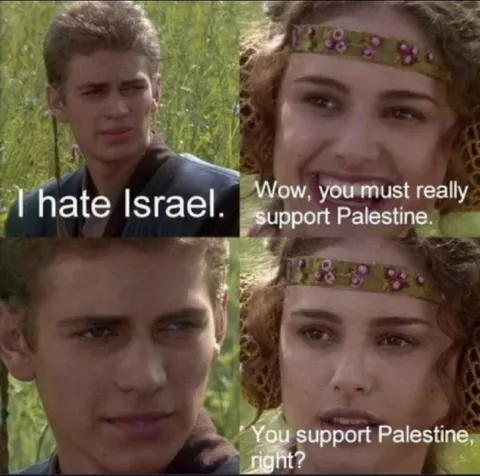 Anakin and Padmé Palestine Meme