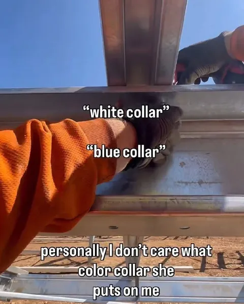 White Collar or Blue Collar