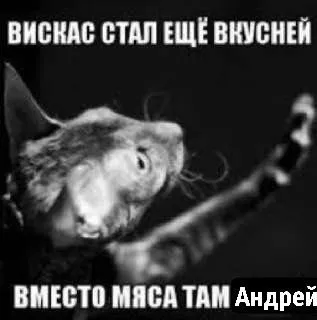 Вискас стал ещё вкусней
