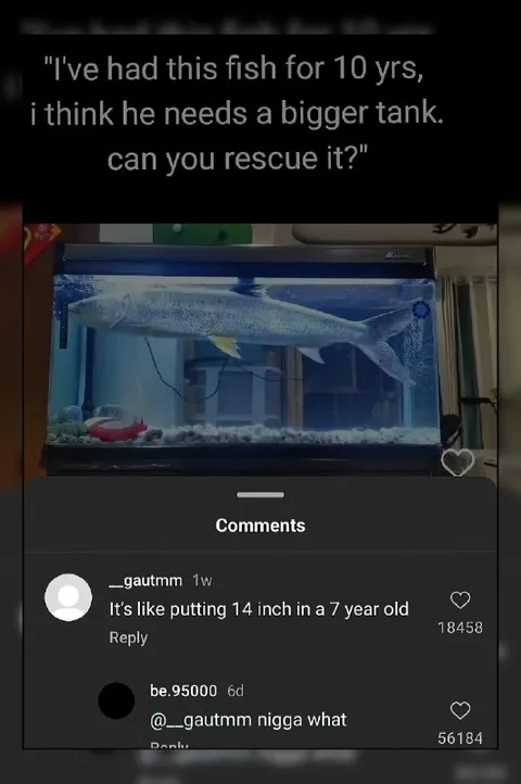 Fish Needs a Bigger Tank