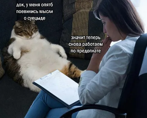 Кот снова работает по предоплате
