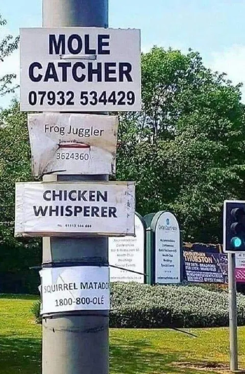 Animal Odd Job Signs