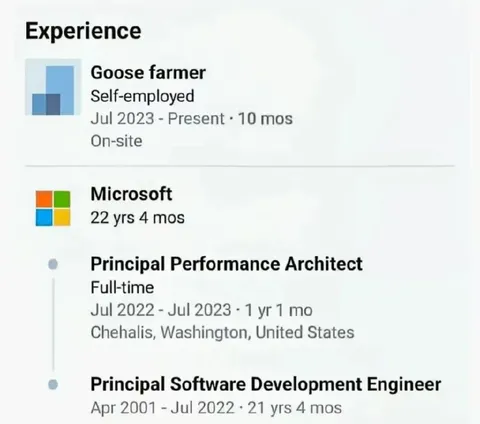 Goose Farmer LinkedIn Experience