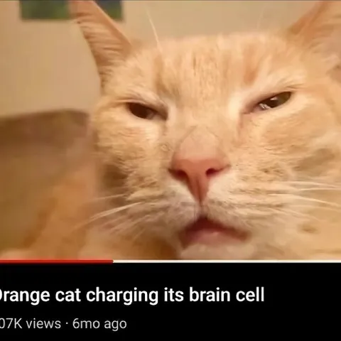 Orange Cat Charging Its Brain Cell