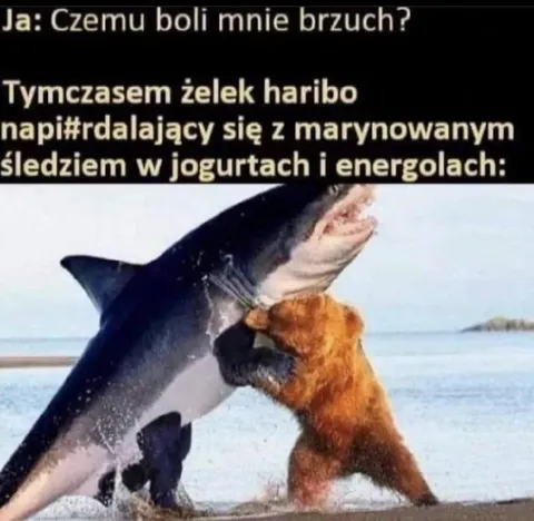 Żelek Haribo ze śledziem