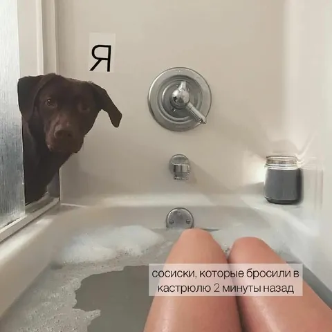 Сосиски через две минуты