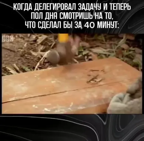 Делегировал задачу и пожалел