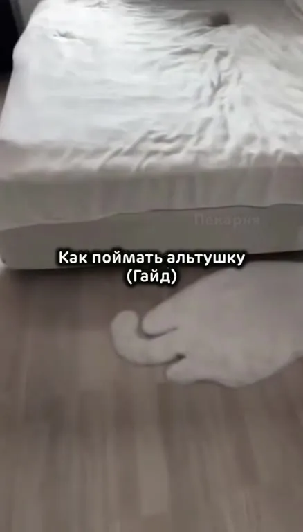 Как поймать альтушку
