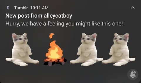 Котики у костра