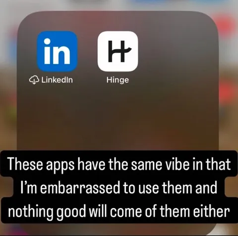 LinkedIn and Hinge Have the Same Vibe