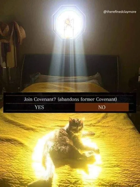 Join Covenant? Cat Ascends