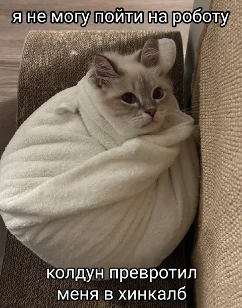 Кот не может пойти на работу