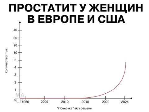 Простата у женщин в Европе и США