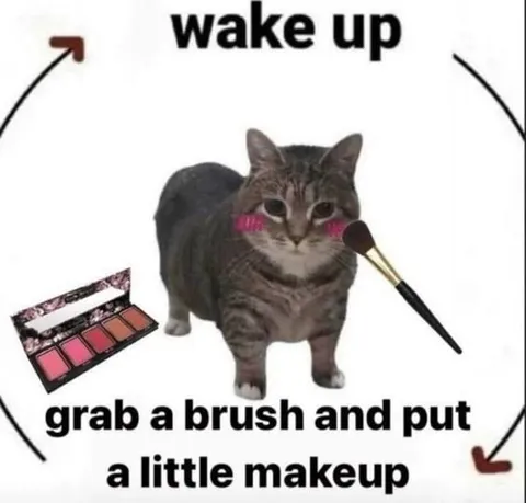 Wake Up and Put on Makeup