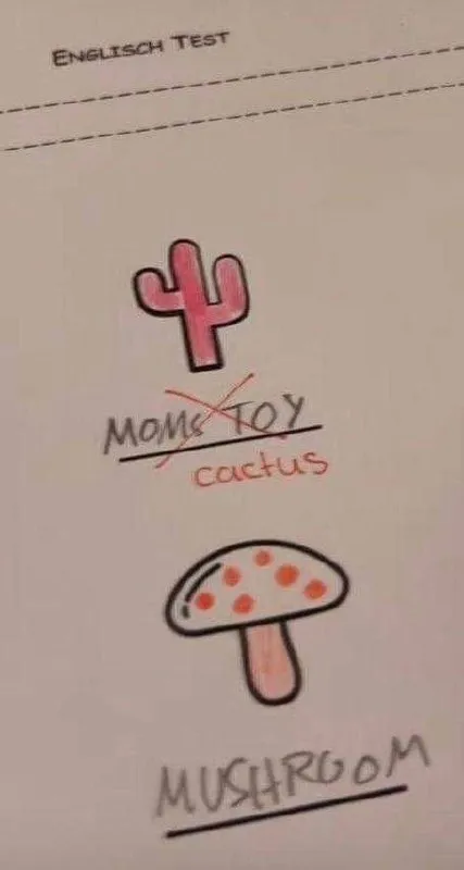 English Test Cactus and Mushroom