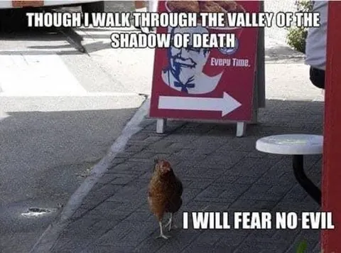 Chicken Fears No Evil