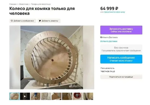 Колесо для хомяка только для человека