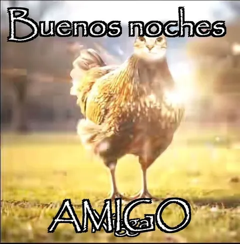 Buenos noches amigo