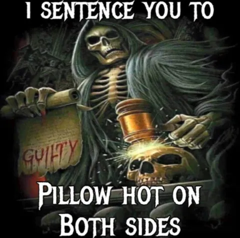 Pillow Hot on Both Sides