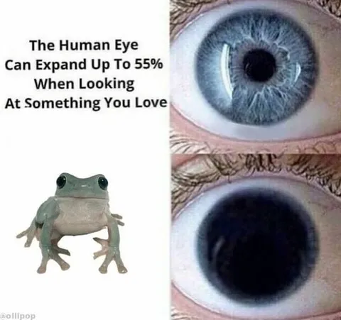 Eye Expands Looking at Frog