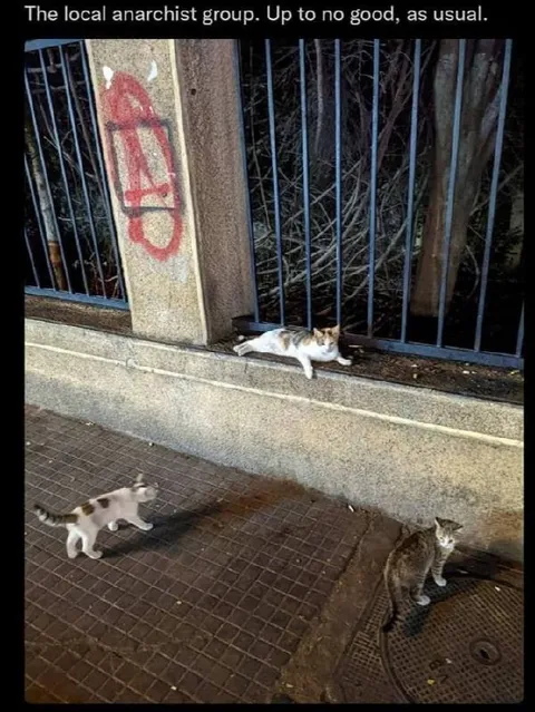 The Local Anarchist Group