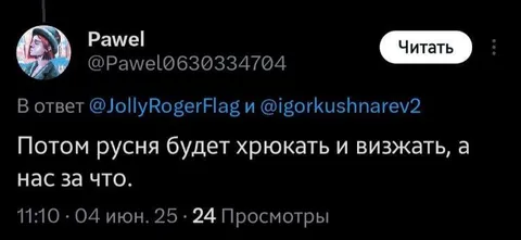 Потом русня будет визжать