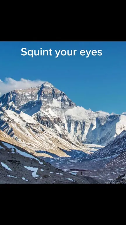 Squint Your Eyes Dog Joke