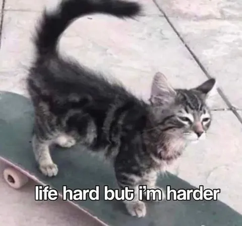 Life Hard But I'm Harder
