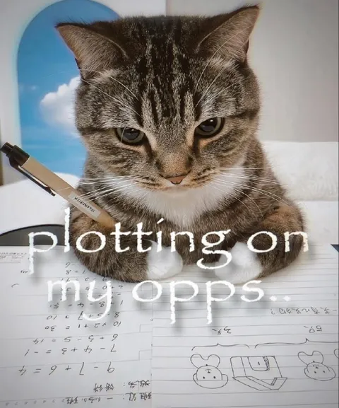Cat Plotting on My Opps