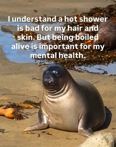 Boiled Alive for Mental Health