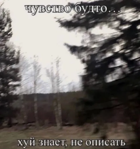 Чувство будто хуй знает