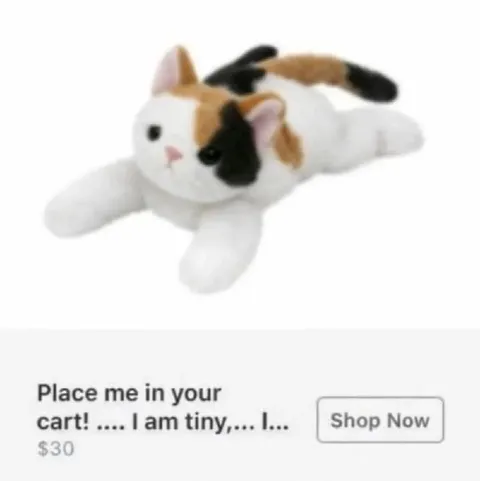 Tiny Cat Shop Now Ad