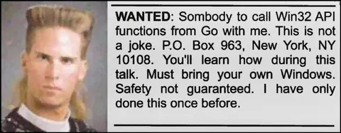 Wanted Win32 API Partner