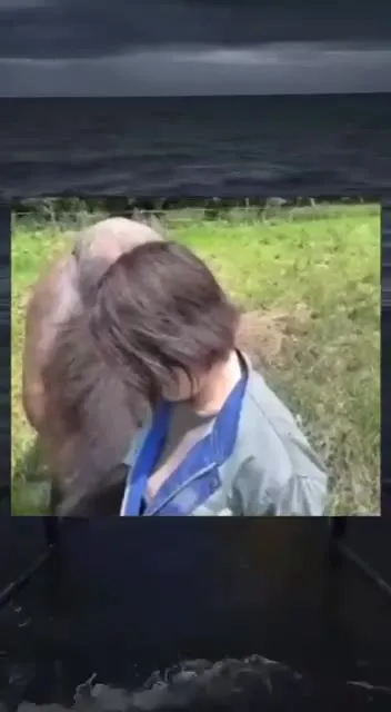 Лошадь внезапно пугает женщину