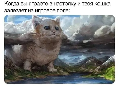 Кошка залезла на игровое поле