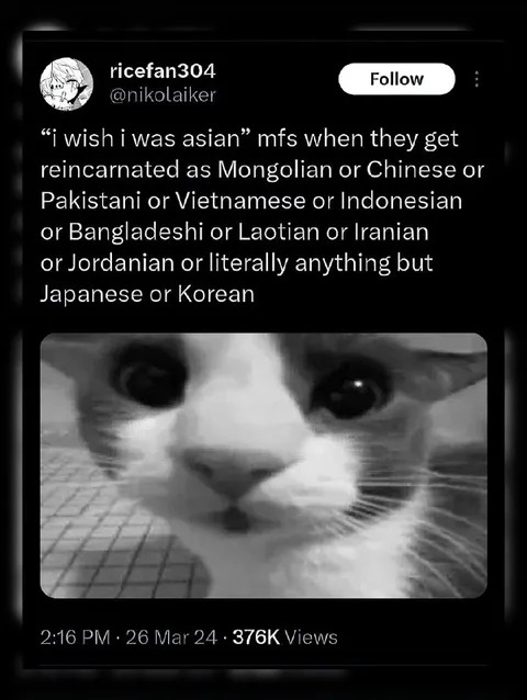 Reincarnated as Anything but Japanese or Korean